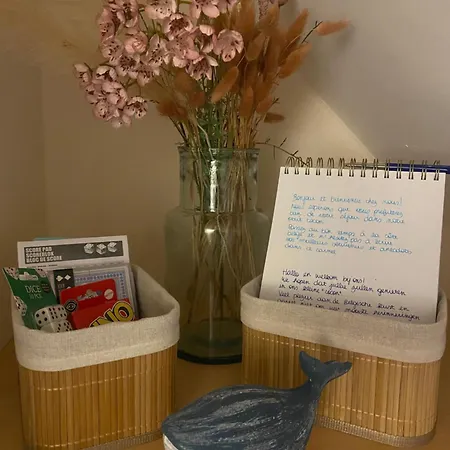 Léonardo * Nieuport