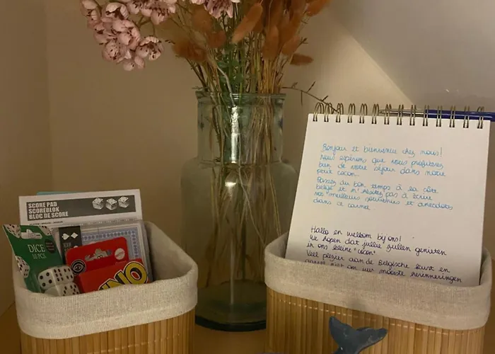 Leonardo * 니우포르트